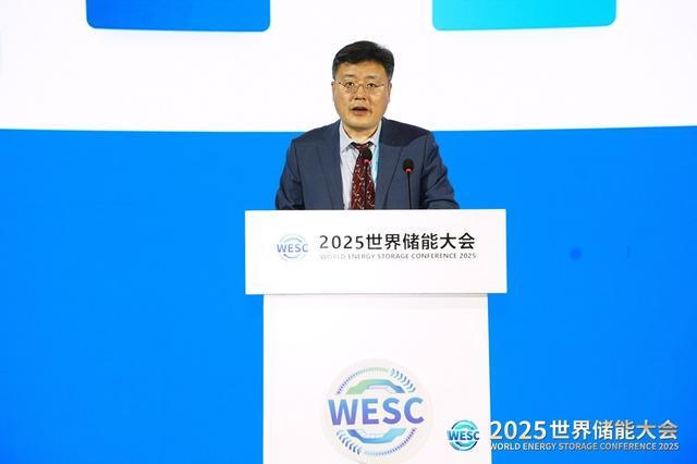 工信部柳新岩：新型储能技术发展路线与未来趋势