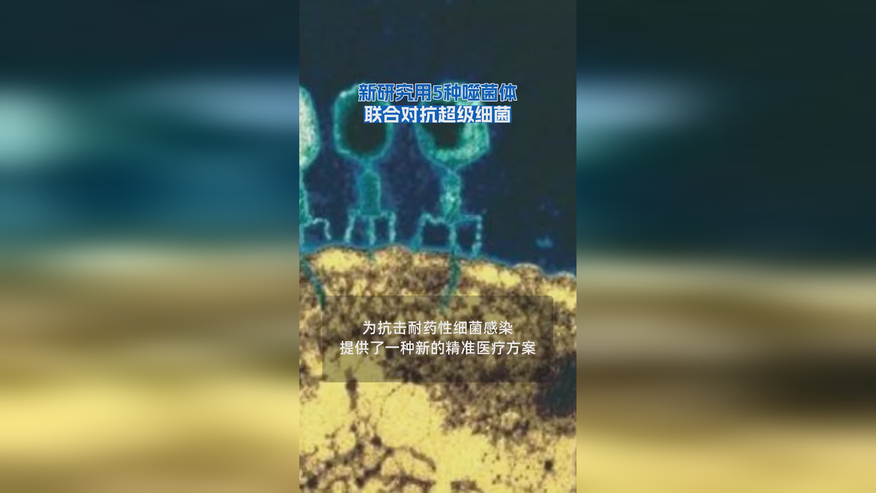 突破性研究：5种噬菌体联合疗法有效对抗超级细菌