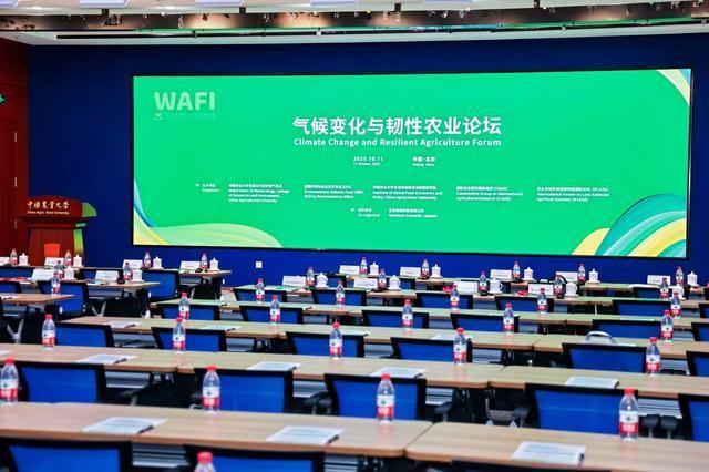 中国杂交水稻技术助力非洲农业增产，国际专家：关键一步