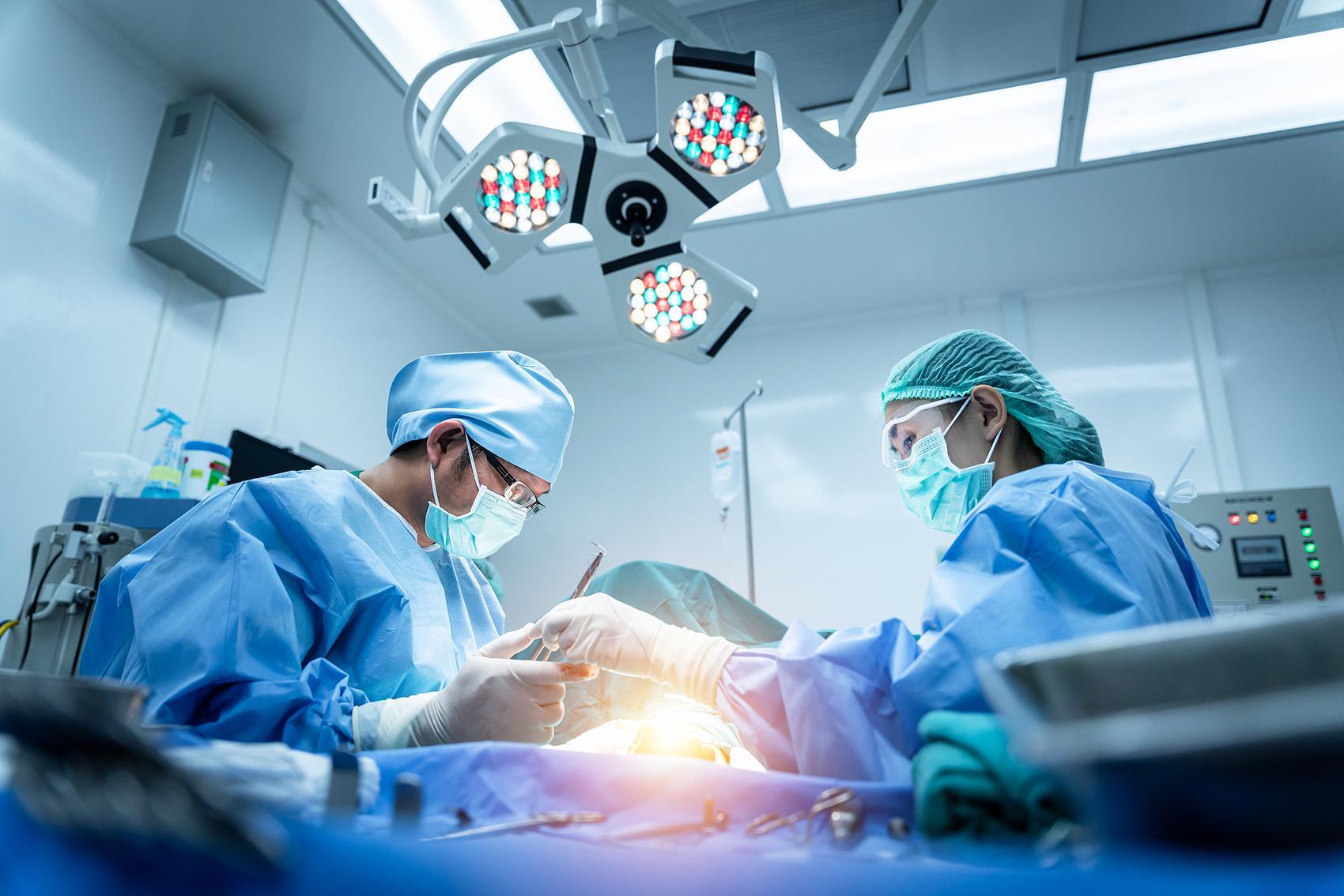 猪肾移植人体迎突破！美国启动首例规模化临床试验