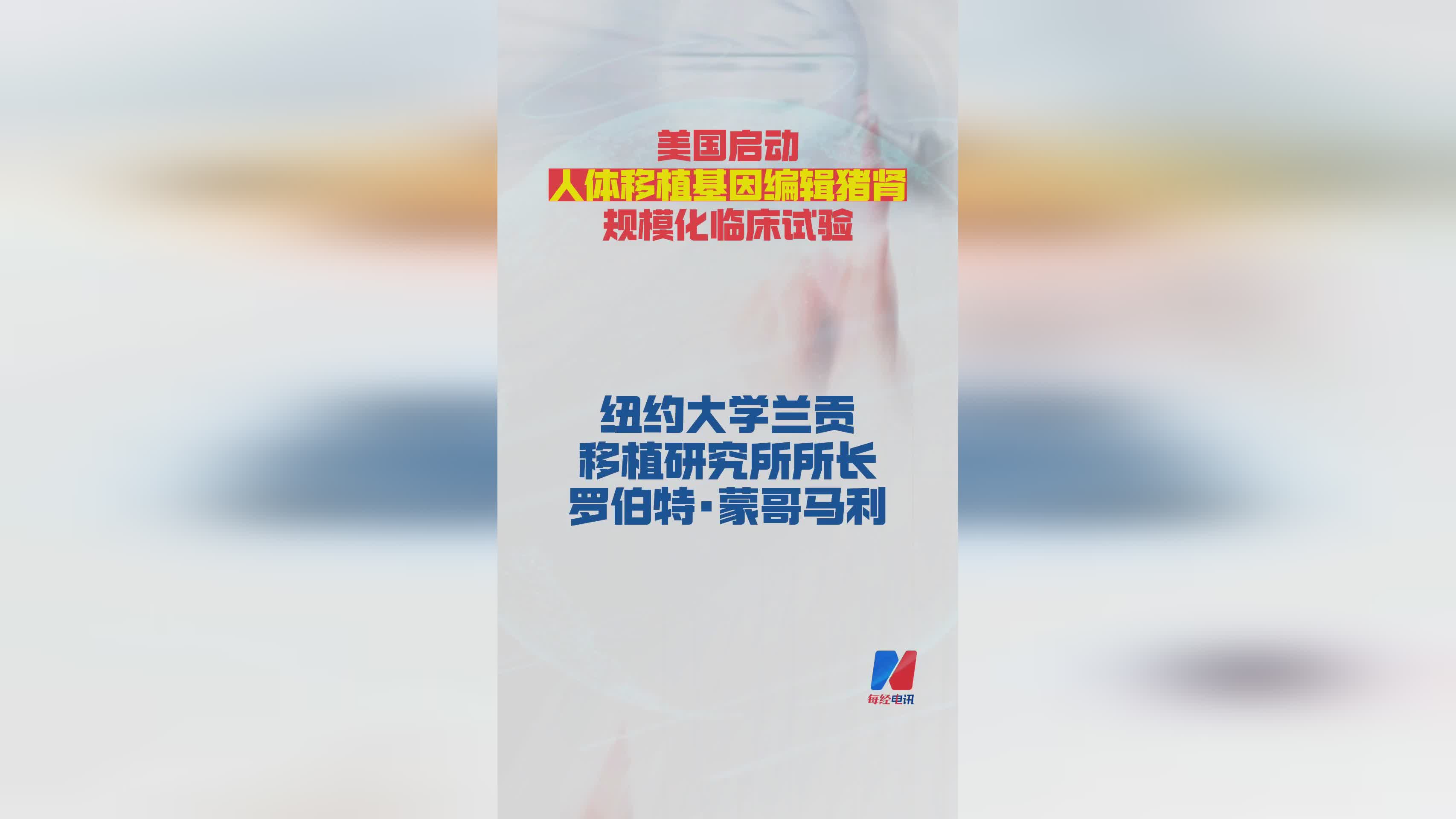美国开启基因编辑猪肾人体移植规模化临床试验