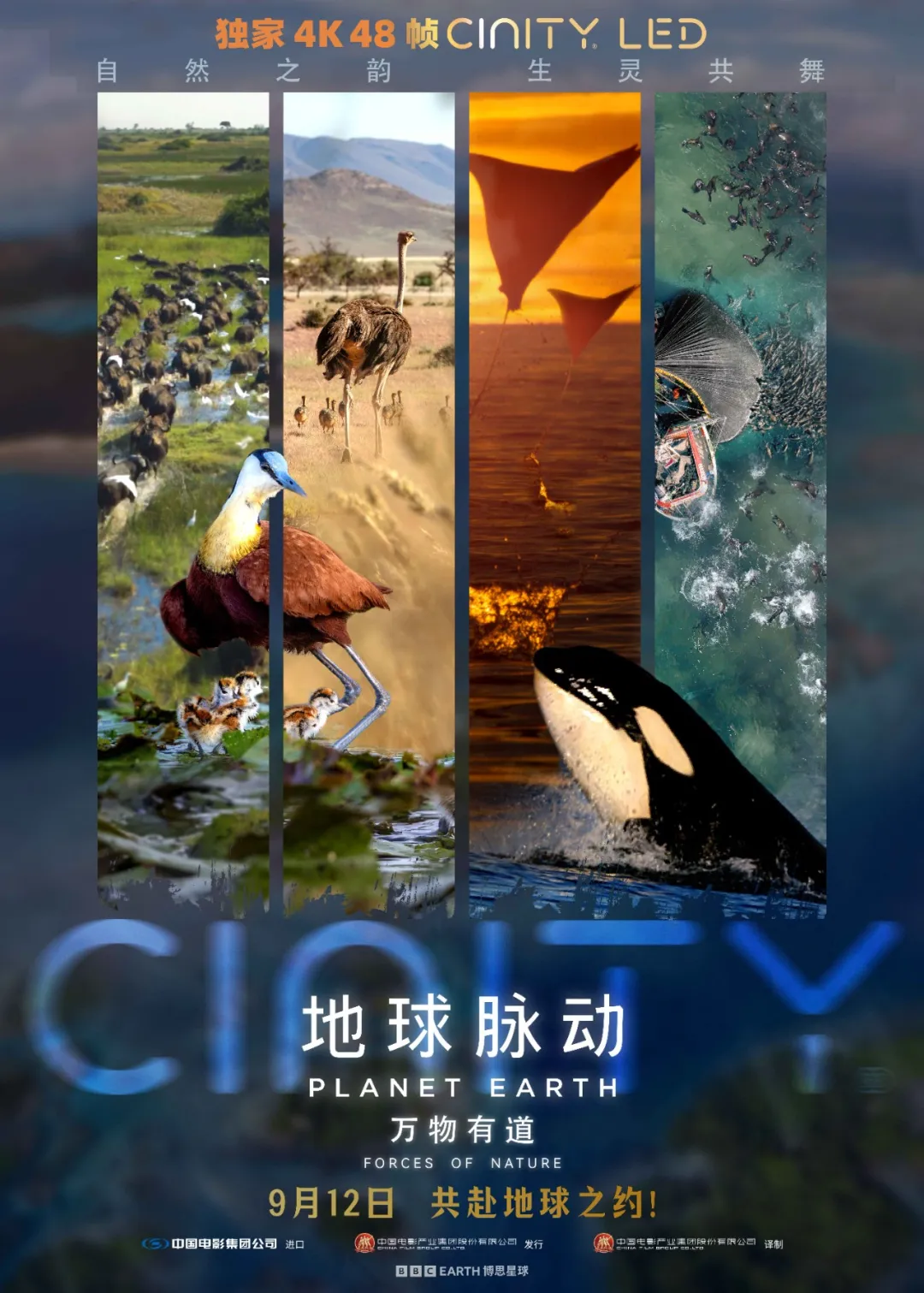 BBC纪录片《地球脉动：万物有道》武汉点映赠票福利