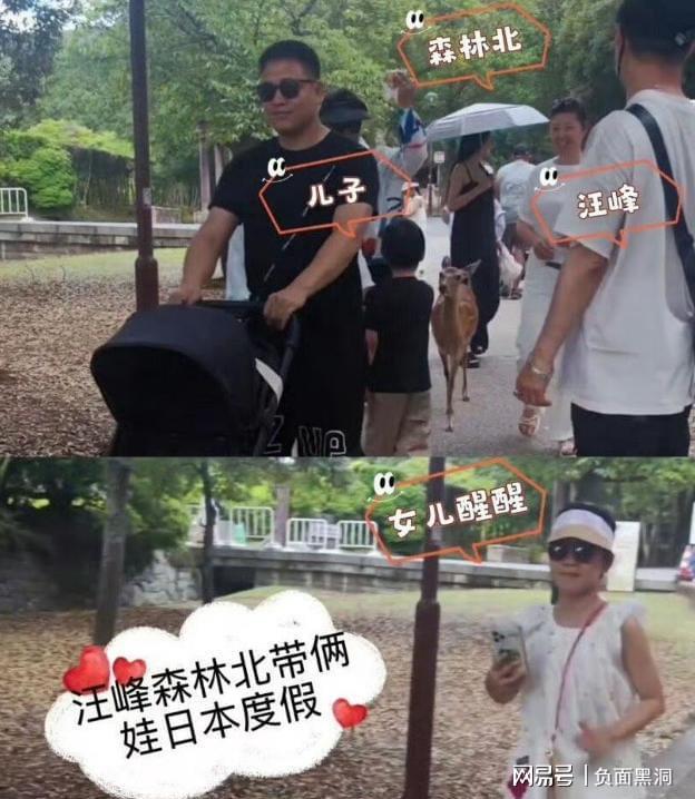 汪峰森林北日本度假