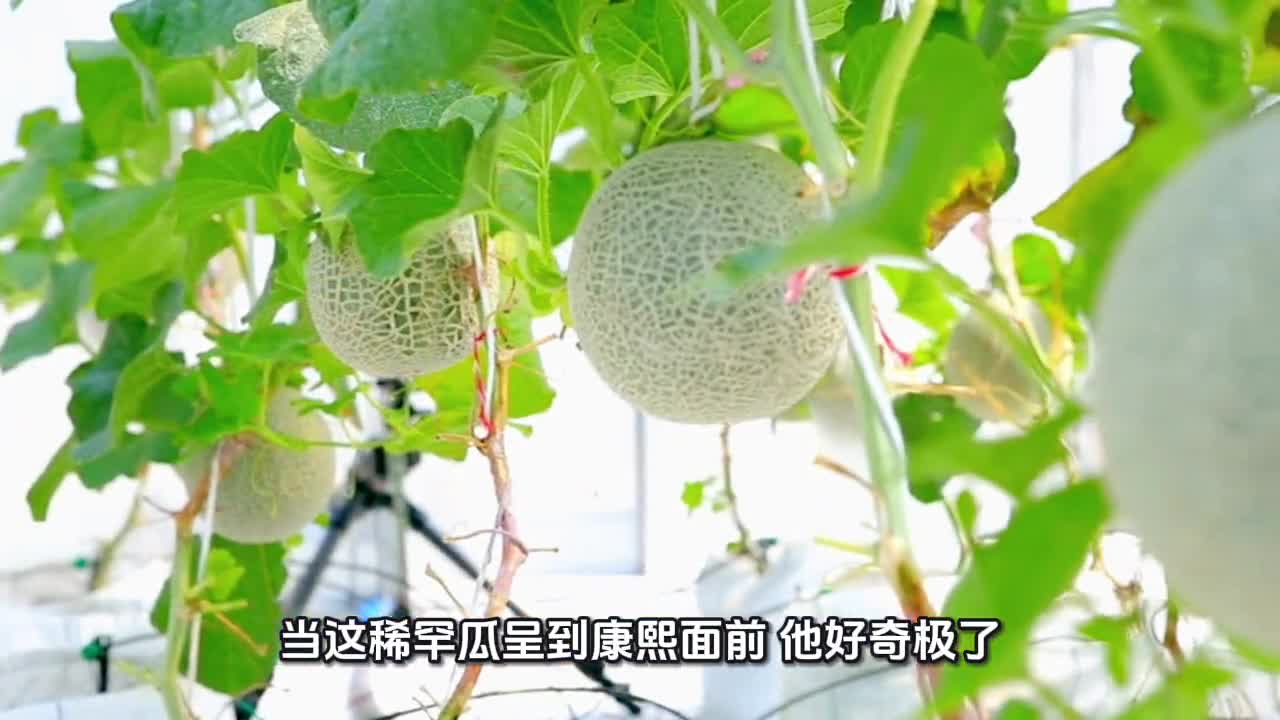 康熙帝口误误称水果名，三百年未改仍沿用至今