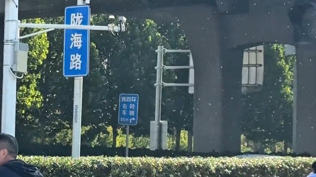 郑州白虫满天飞？园林部门：系白粉虱，对人体无害