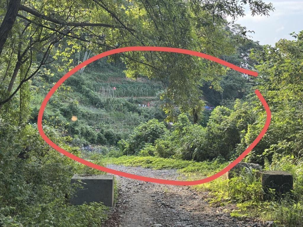 52岁女子误触氢氟酸身亡：事发地探访与家属悲痛追忆