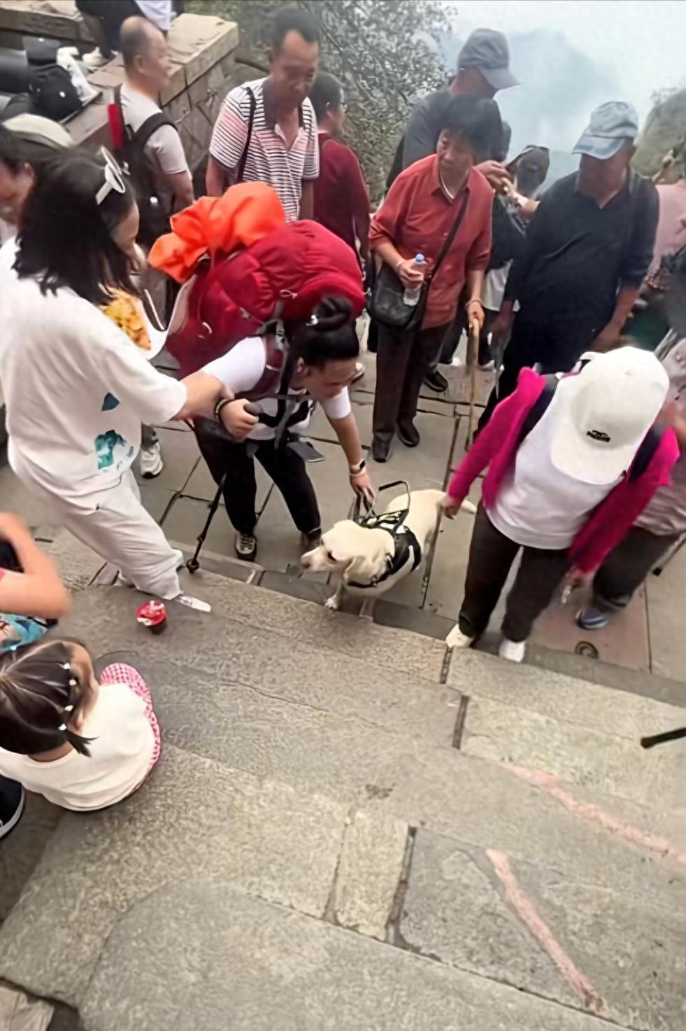 盲人雨夜带导盲犬爬泰山引争议，基地决定接回导盲犬