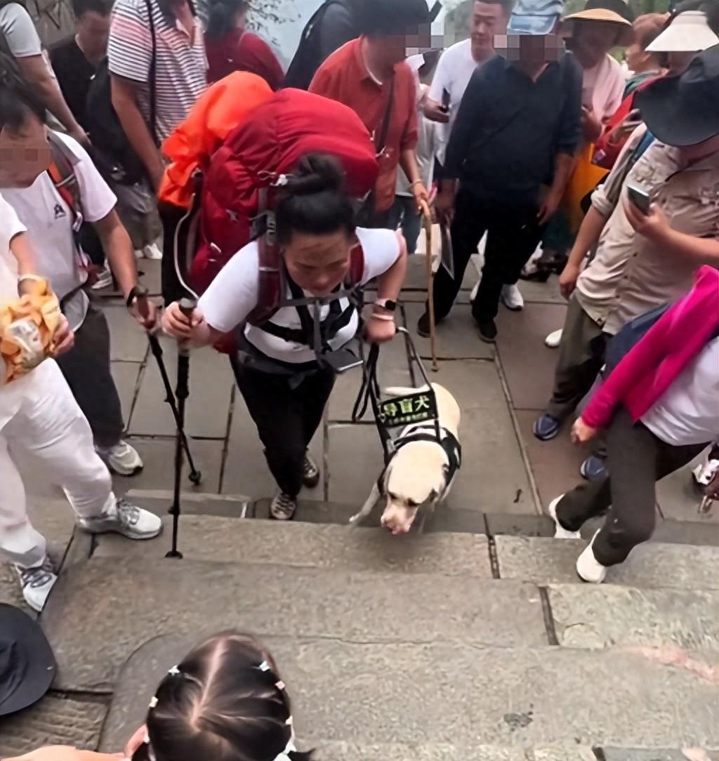 盲人带导盲犬爬泰山，狗全程痛苦还被打，基地回应黑料被扒惹众怒