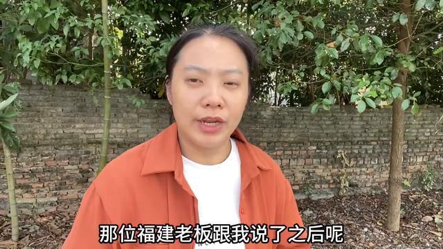 深山奇树引58000元高价求购，山主为何果断拒绝？