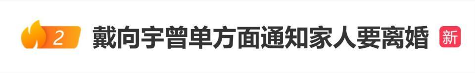 戴向宇陈紫函婚姻危机：单方面通知离婚背后的情感博弈