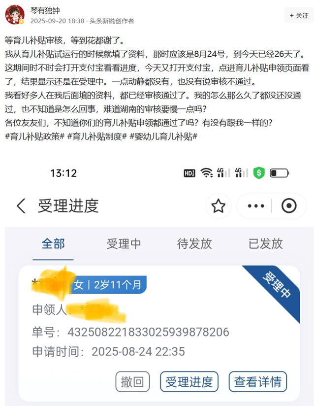 育儿补贴审核26天未动，奶粉涨价引家长吐槽：补贴为何成空？