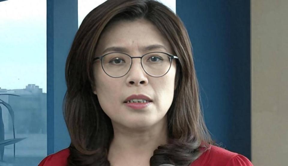 郑丽文反对罗智强征召提案，直言郝龙斌当选或让国民党陷旧困局