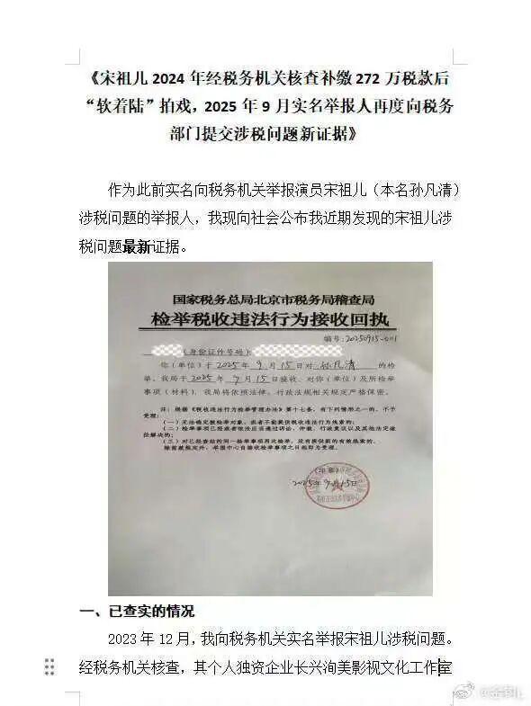 宋祖儿再遭实名举报：27万医美费报销成公司成本，多家公司注销