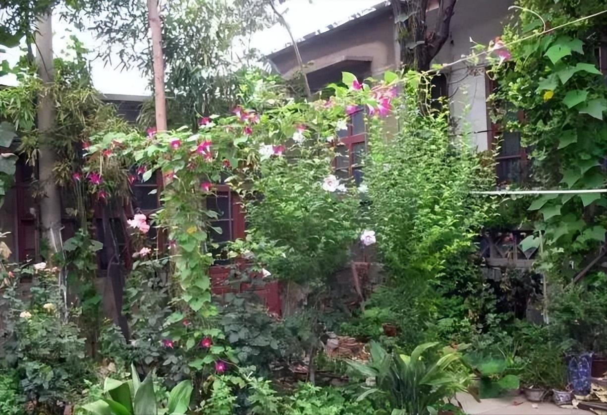 工作人员现场勘查多歧苏铁