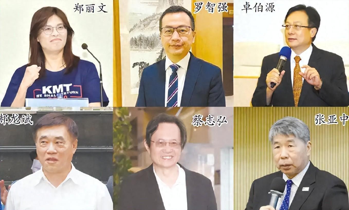 党魁改选终于有选手挺“一国两制”！洪秀柱的支持对象让人意外