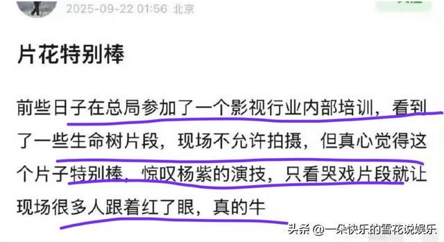 杨紫《生命树》台词获赞，先导片曝光引发热议！