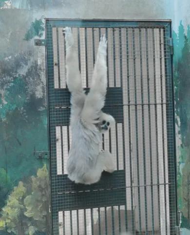 珍稀动物侧面照