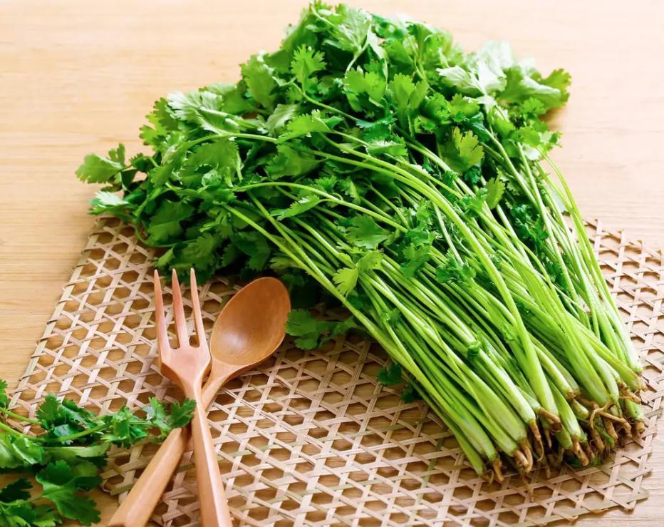 香菜成焦点！专家研究：经常吃香菜的人，用不了多久，或有5变化