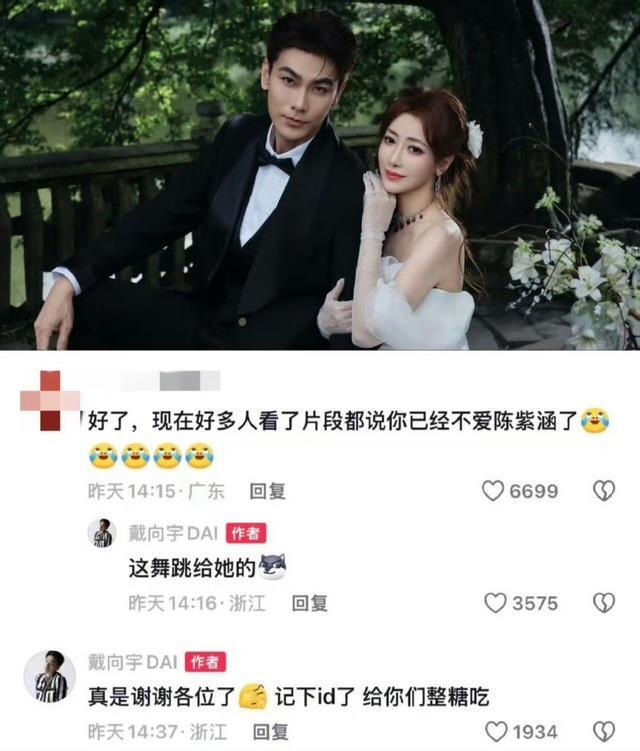 戴向宇回应与陈紫函感情争议，真实态度引热议