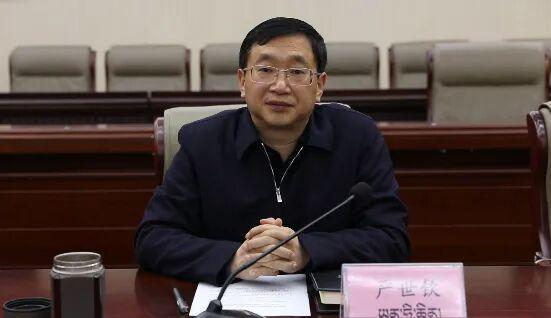 林芝市原副市长严世钦因违纪被降为四级调研员