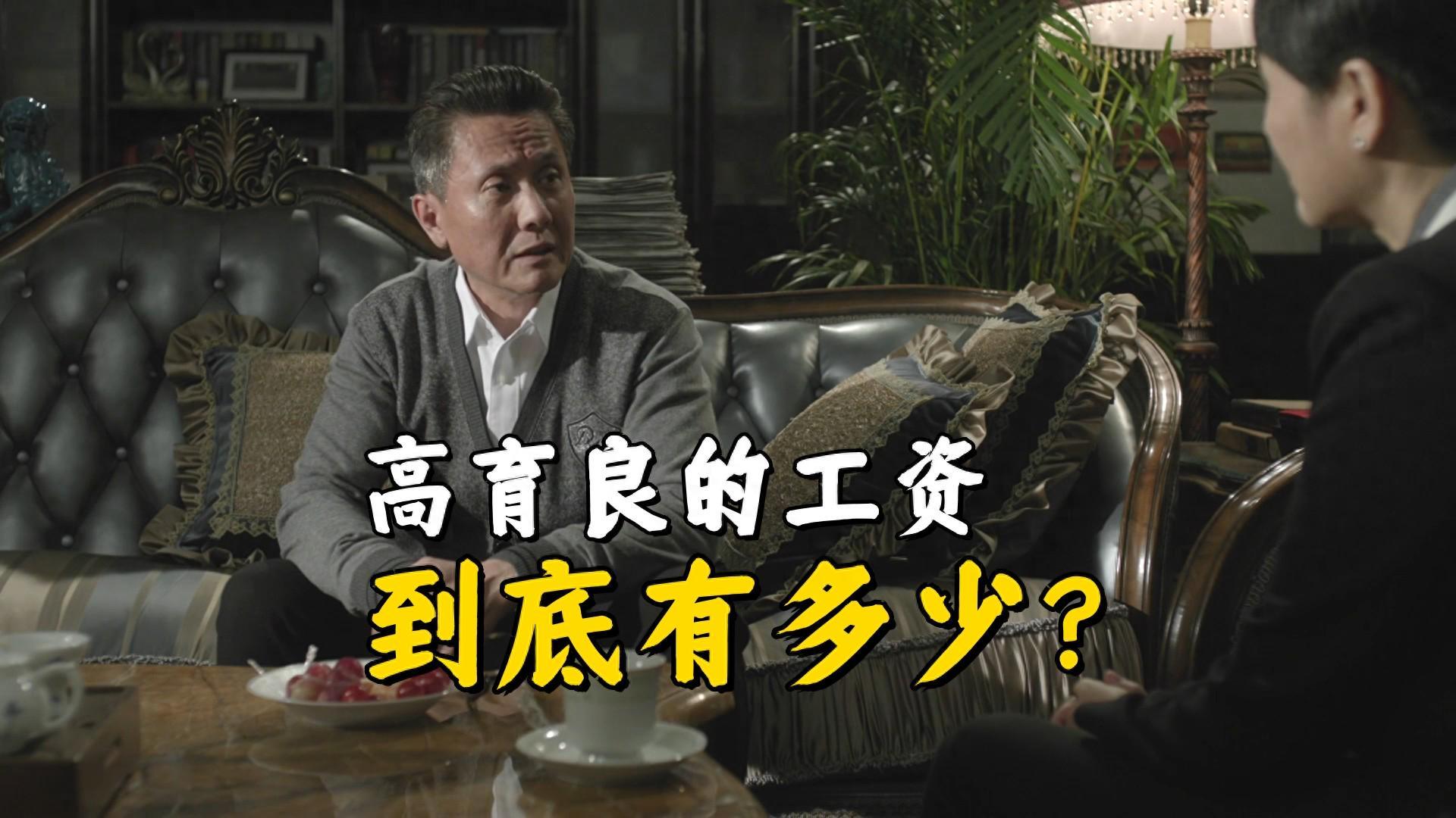 《人民的名义》高育良工资揭秘：副部级干部真实收入解析