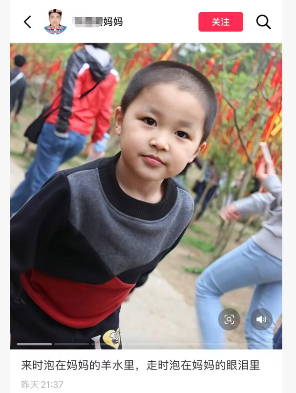 广西中学生伤人后跳楼事件：母亲发声，真相调查进行中