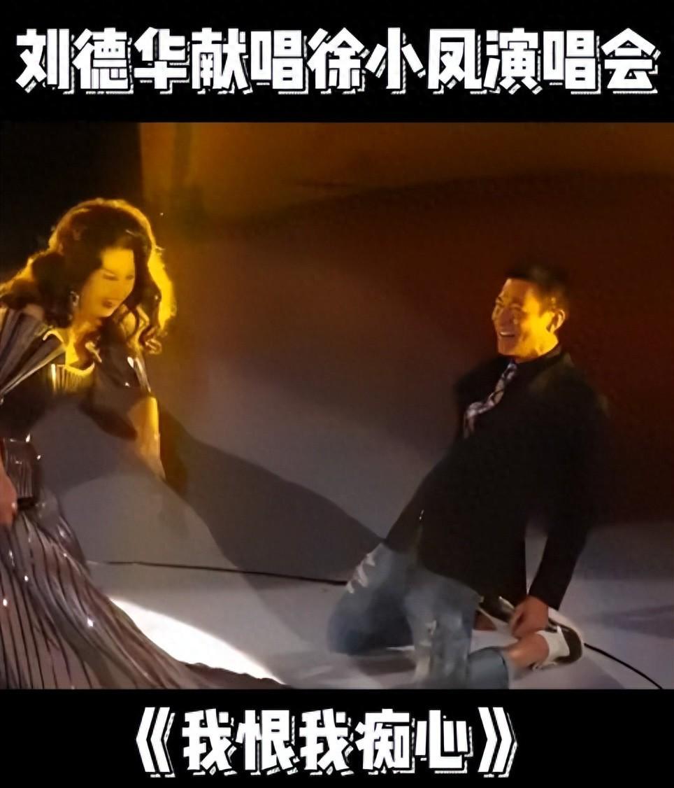 徐小凤传奇：刘德华下跪致敬，周润发愿养她，春晚为她破例