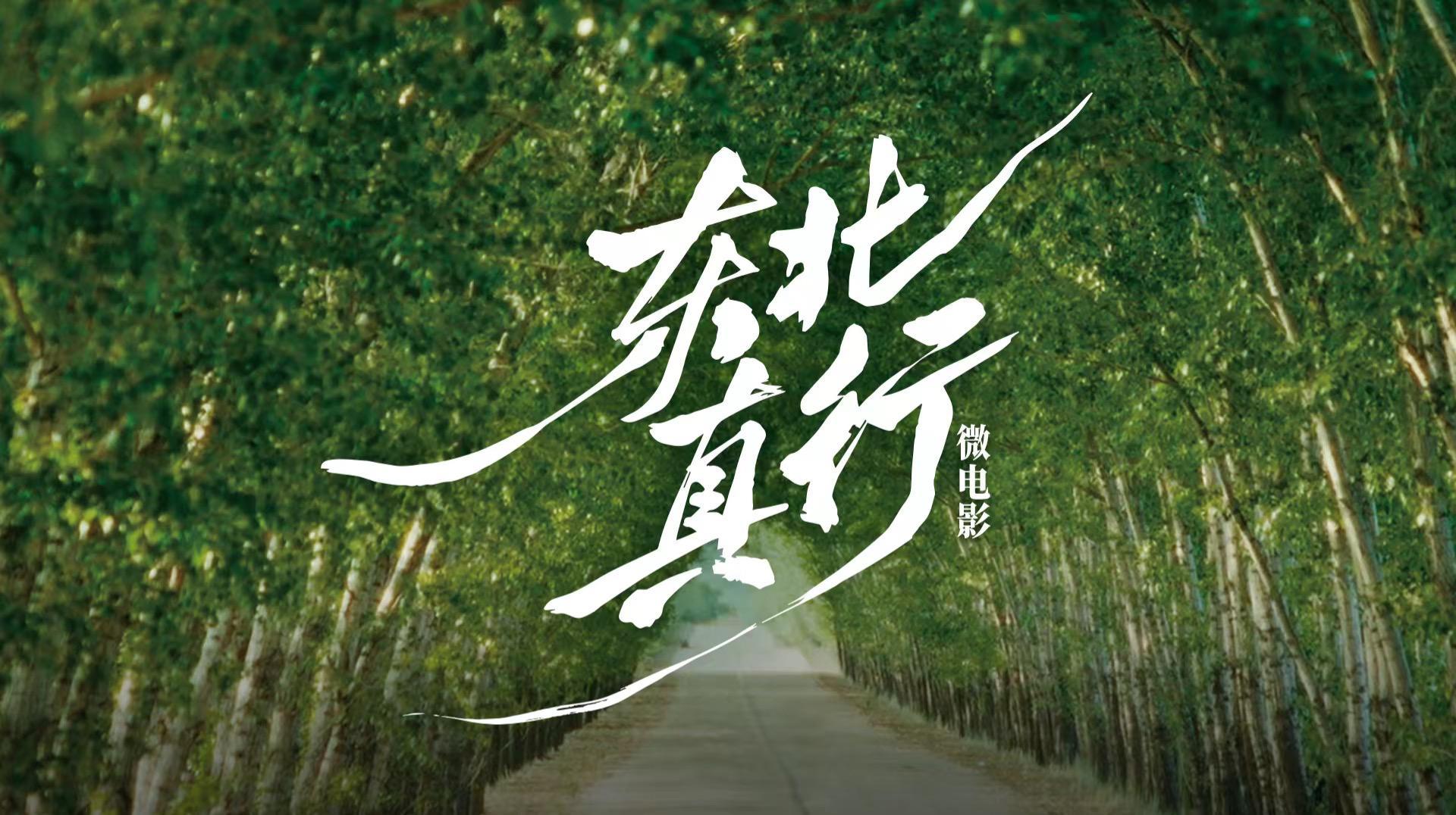 是东北振兴，更是东北真行