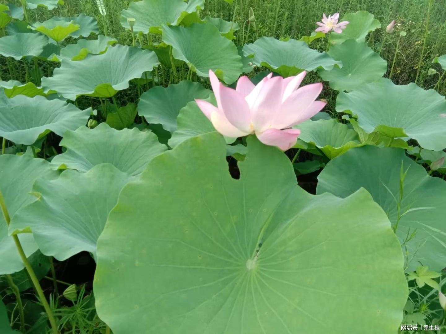 转业副镇长九年未获提拔，战友任县委书记后终获晋升