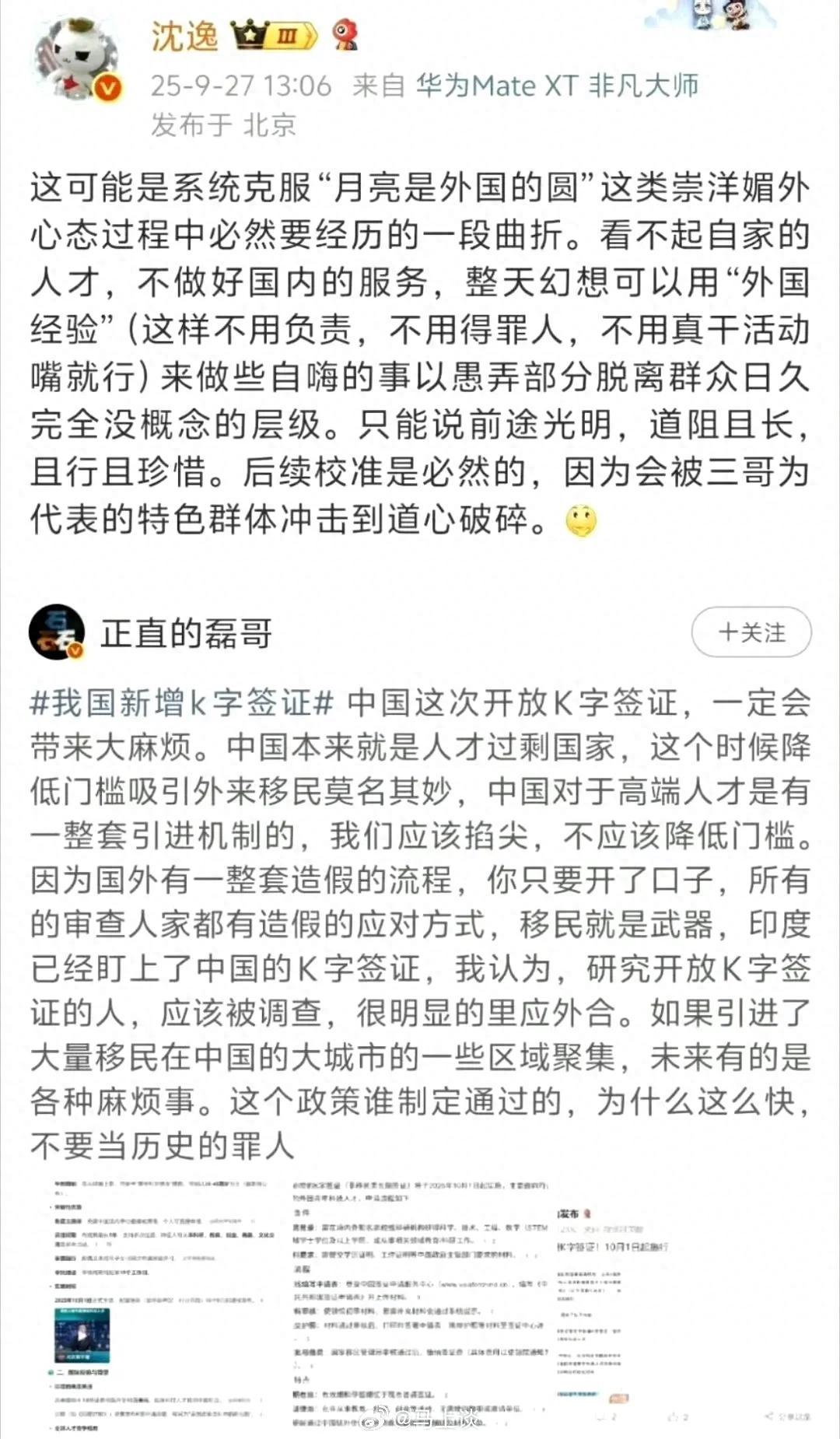 沈逸犀利点评K签证：脱离群众，未来必校准！