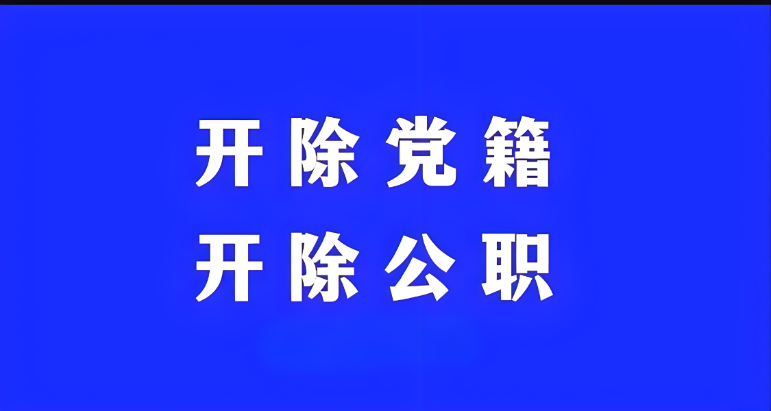 某官员被开除党籍和公职，官方通报详情