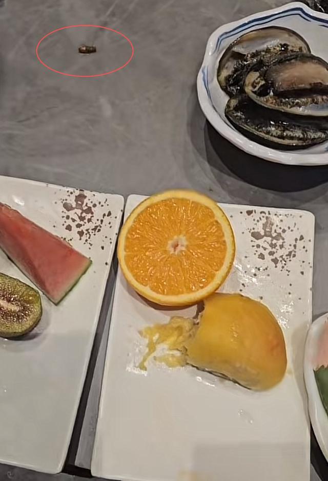 济南10人花4000元吃自助餐遇蟑螂，餐厅回应引发争议