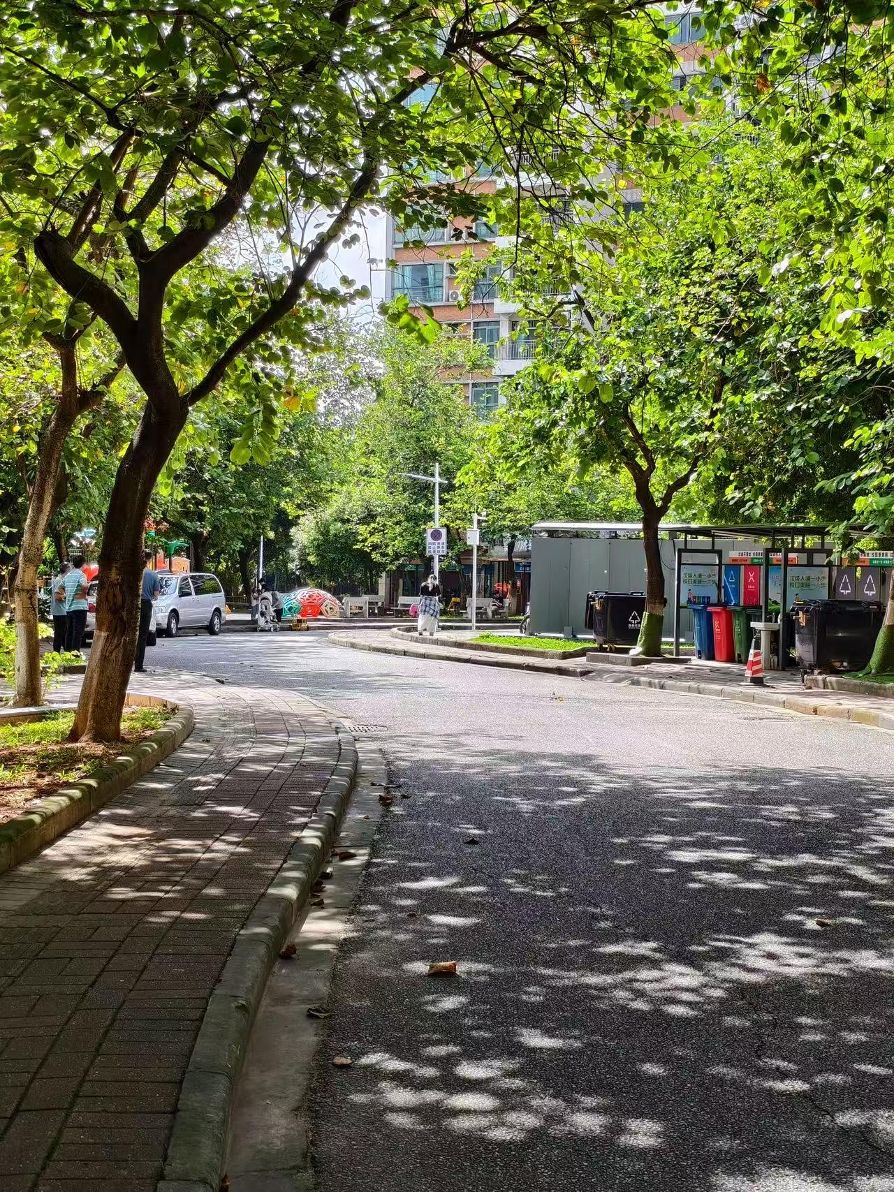 华南理工通报校园车祸：教师肇事致1死1伤，学校将彻查并整改