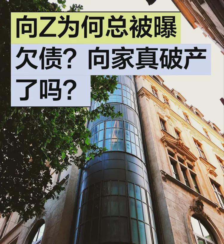 向家经济危机揭秘：赌场员工卷款10亿，向家退出澳门市场