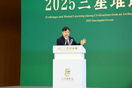 三星堆遗址新发现：内部战争或成文化变迁关键推手