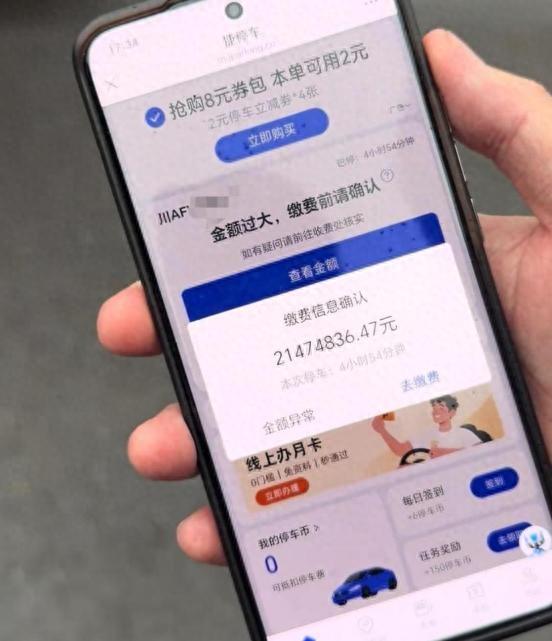 男子被索要2000万停车费！仅停车不到5小时，当地景区称没法干预