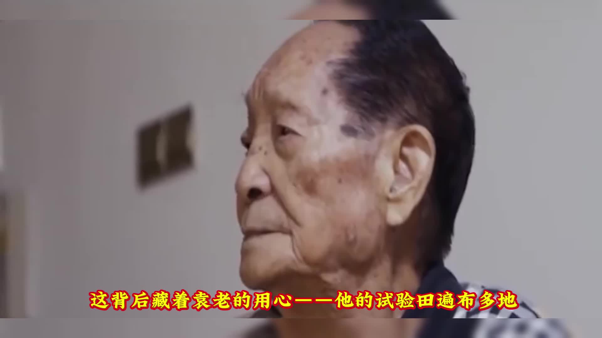 袁隆平孙女幼儿园趣事：老师问爷爷职业，回答让人捧腹