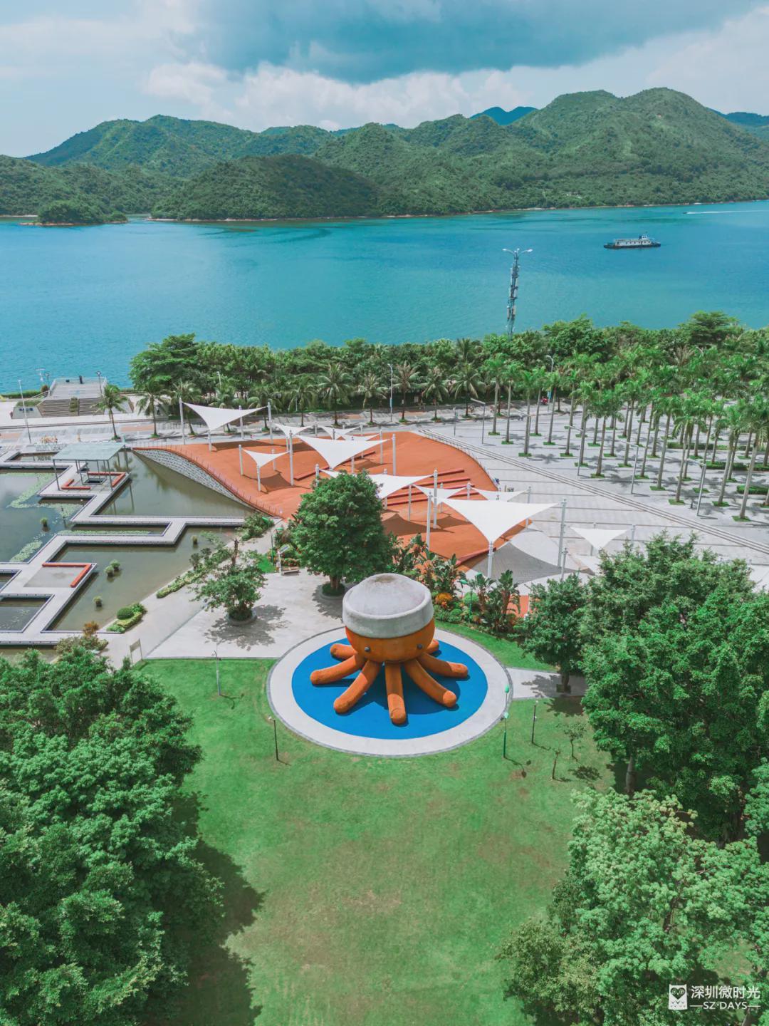 “国庆在深圳的朋友，建议留一天给这个慢半拍的宝藏地”