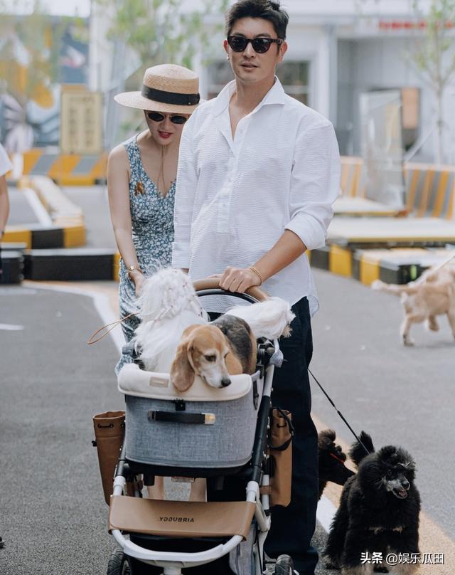 杜江霍思燕携女儿珍珠亮相阿那亚犬展，霍思燕瘦身成功美翻全场