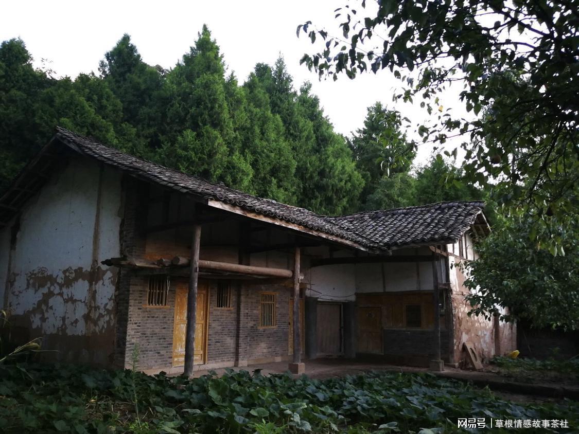 知青岁月：下乡插队借住队长家，终成队长家女婿的温情故事