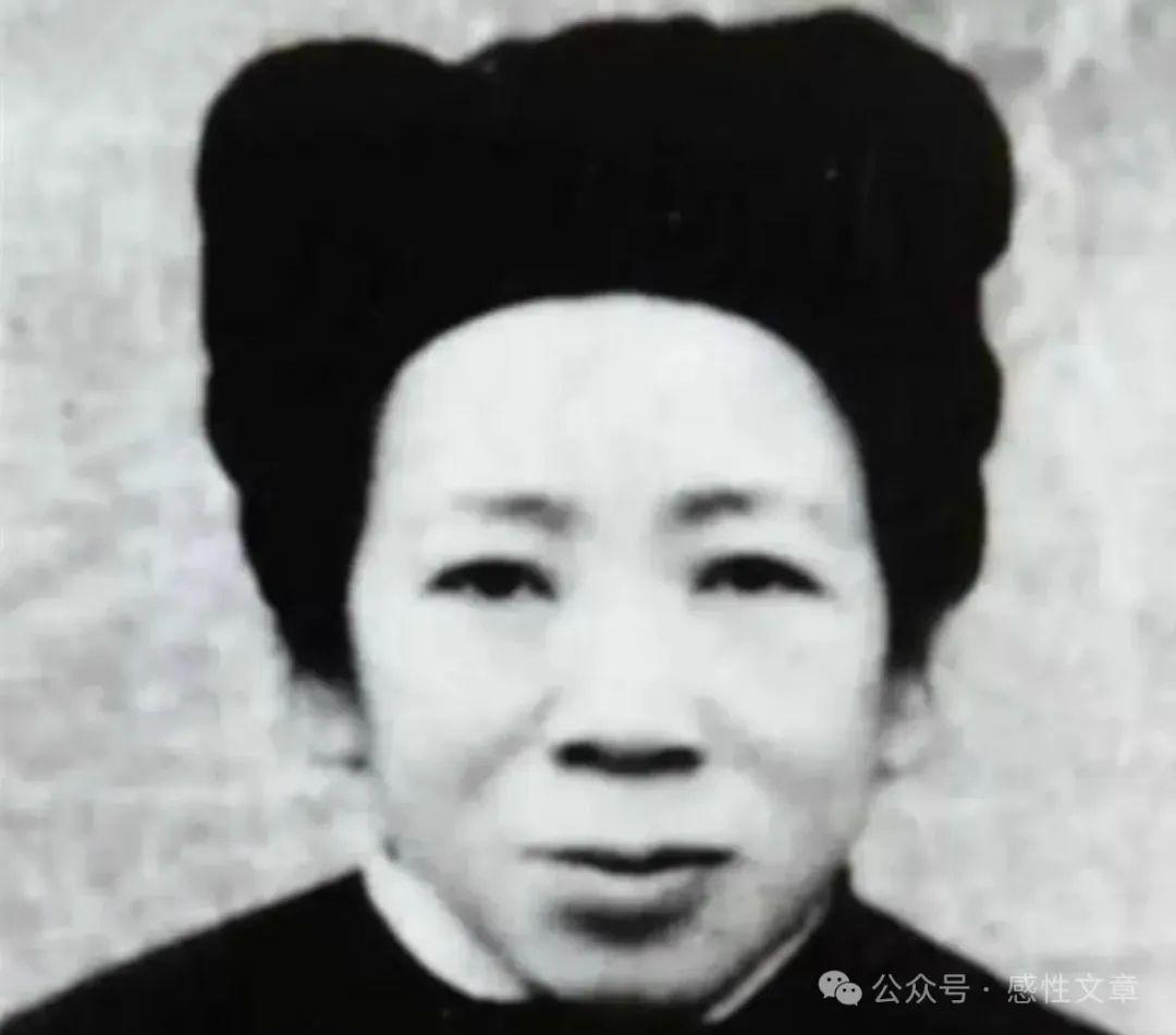 河北农民田间劳作突遇村长急召，揭秘母亲隐藏的抗战英雄往事
