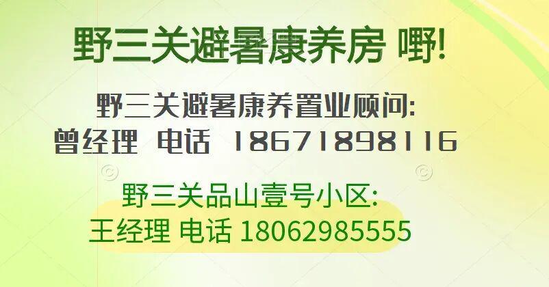 军事会议场景