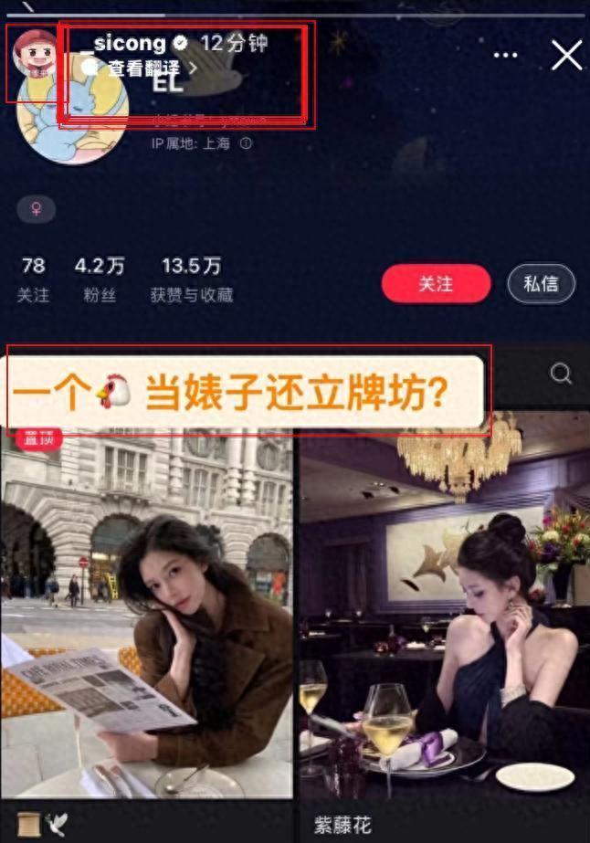 王思聪深夜ins爆料：某网红被指包周20万外围女，事件全解析