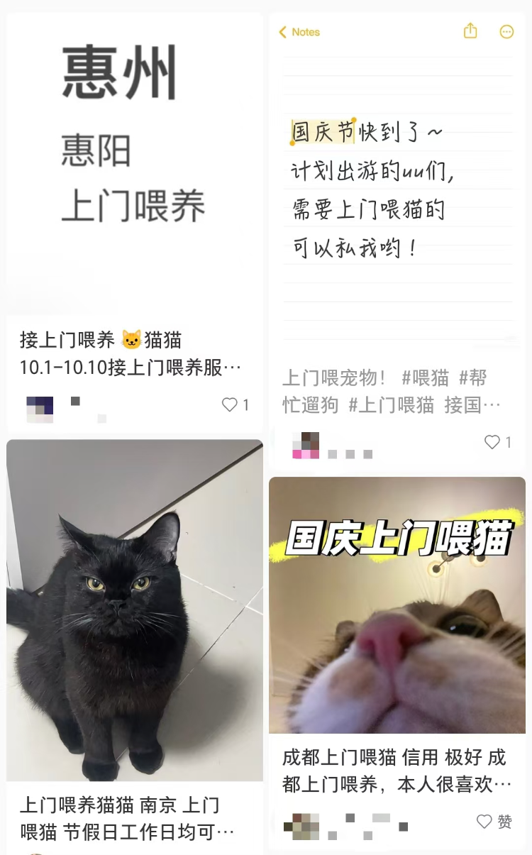 国庆宠物托养代喂市场火爆：单日最高270单，9狗11猫大单引关注