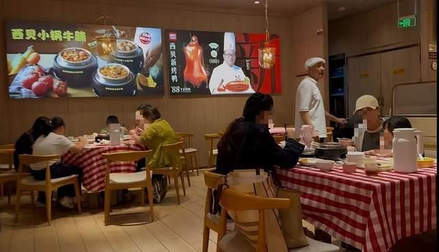 西贝调改实录：全线降价与消费券策略下的市场冷暖
