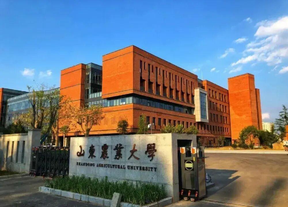 山东农大突破植物细胞全能性，中国种业崛起挑战国际巨头
