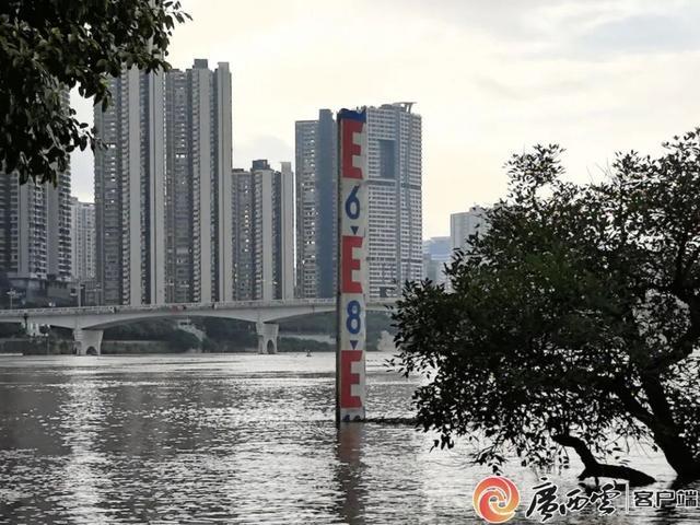 广西洪水预警：不围观不逗留不靠近，安全避险指南