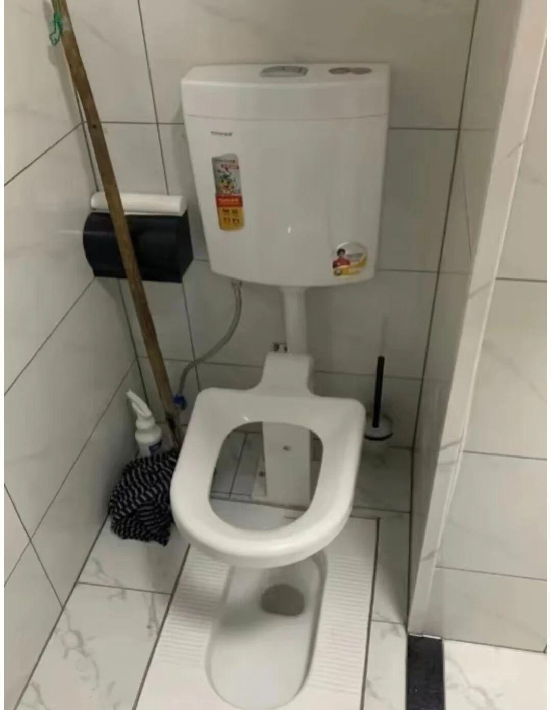 马桶蹲坑二合一