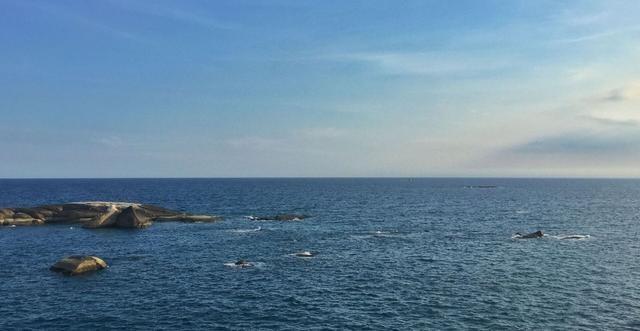 东海上空惊现歼16对峙外军机，隐身神话被打破