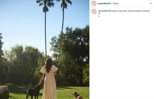 凯特王妃国宴礼服引热议，梅根同款穿搭为何屡遭吐槽？